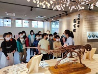 1101126 快閃秀中圖書館-「悅」讀地球的演化記憶 化石導覽展(另開新視窗)