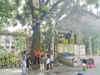 1140617東山小勇士自我挑戰 親近大自然 ~ 攀樹體驗